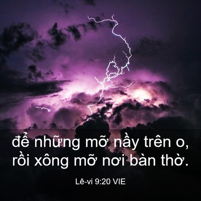 Picture 03 - Lê-vi 9:20 VIE - để những mỡ nầy trên o, rồi xông - Bible Verse Picture