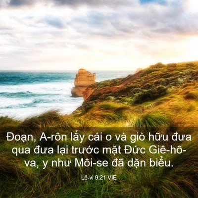 Picture 03 - Lê-vi 9:21 VIE - Đoạn, A-rôn lấy cái o và giò hữu đưa - Bible Verse Picture
