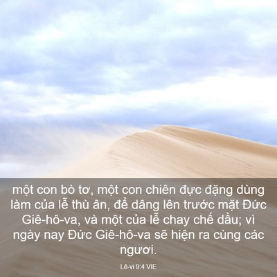 Picture 03 - Lê-vi 9:4 VIE - một con bò tơ, một con chiên đực - Bible Verse Picture