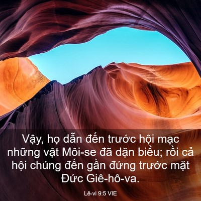 Picture 03 - Lê-vi 9:5 VIE - Vậy, họ dẫn đến trước hội mạc - Bible Verse Picture