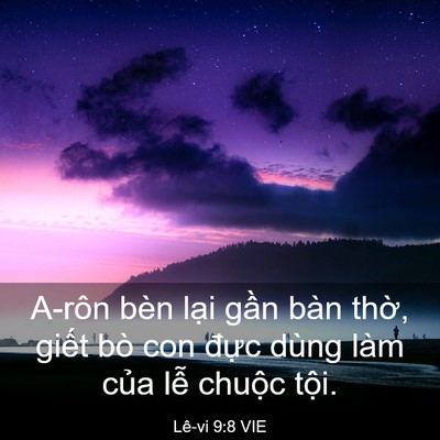 Picture 03 - Lê-vi 9:8 VIE - A-rôn bèn lại gần bàn thờ, giết bò - Bible Verse Picture