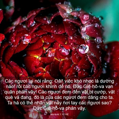 Picture 03 - Ma-la-ki 1:13 VIE - Các ngươi lại nói rằng: Oâi! việc khó - Bible Verse Picture