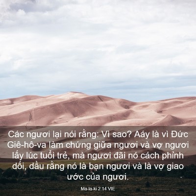 Picture 03 - Ma-la-ki 2:14 VIE - Các ngươi lại nói rằng: Vì sao? Aáy là - Bible Verse Picture