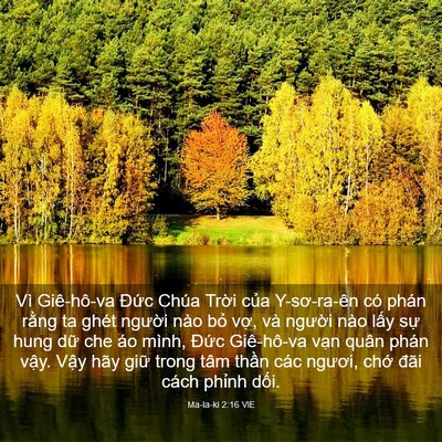 Picture 03 - Ma-la-ki 2:16 VIE - Vì Giê-hô-va Đức Chúa Trời của - Bible Verse Picture