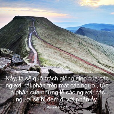 Picture 03 - Ma-la-ki 2:3 VIE - Nầy, ta sẽ quở trách giống gieo của - Bible Verse Picture