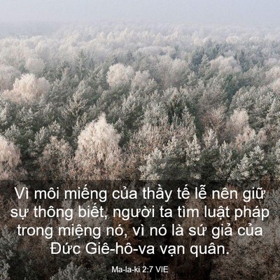 Picture 03 - Ma-la-ki 2:7 VIE - Vì môi miếng của thầy tế lễ nên - Bible Verse Picture