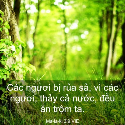Picture 03 - Ma-la-ki 3:9 VIE - Các ngươi bị rủa sả, vì các ngươi, - Bible Verse Picture