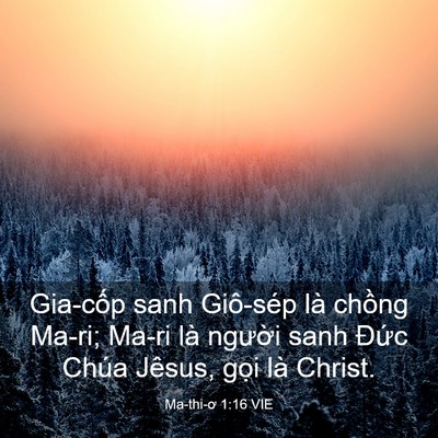 Picture 03 - Ma-thi-ơ 1:16 VIE - Gia-cốp sanh Giô-sép là chồng Ma-ri; Ma-ri - Bible Verse Picture