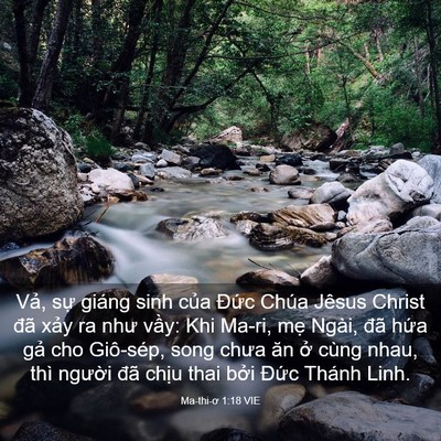 Picture 03 - Ma-thi-ơ 1:18 VIE - Vả, sự giáng sinh của Đức Chúa Jêsus - Bible Verse Picture