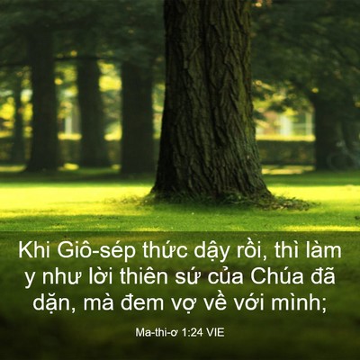 Picture 03 - Ma-thi-ơ 1:24 VIE - Khi Giô-sép thức dậy rồi, thì làm y - Bible Verse Picture