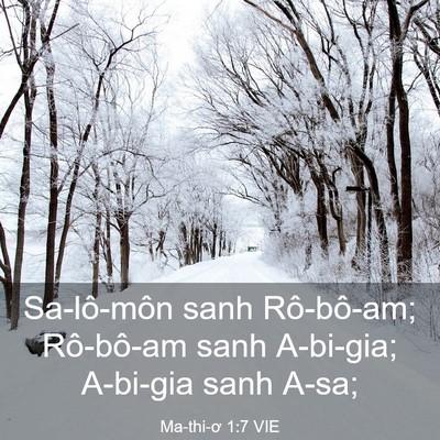 Picture 03 - Ma-thi-ơ 1:7 VIE - Sa-lô-môn sanh Rô-bô-am; Rô-bô-am sanh - Bible Verse Picture