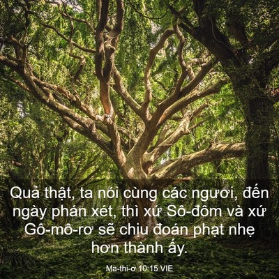 Picture 03 - Ma-thi-ơ 10:15 VIE - Quả thật, ta nói cùng các ngươi, đến - Bible Verse Picture
