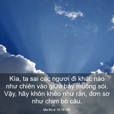 Picture 03 - Ma-thi-ơ 10:16 VIE - Kìa, ta sai các ngươi đi khác nào như - Bible Verse Picture