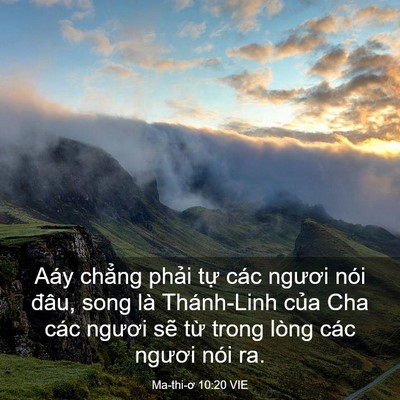 Picture 03 - Ma-thi-ơ 10:20 VIE - Aáy chẳng phải tự các ngươi nói đâu, - Bible Verse Picture