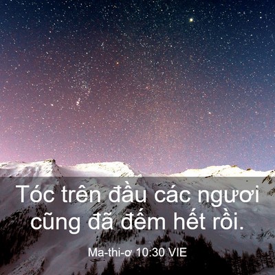 Picture 03 - Ma-thi-ơ 10:30 VIE - Tóc trên đầu các ngươi cũng đã đếm - Bible Verse Picture