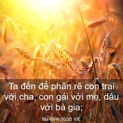 Picture 03 - Ma-thi-ơ 10:35 VIE - Ta đến để phân rẽ con trai với cha, - Bible Verse Picture