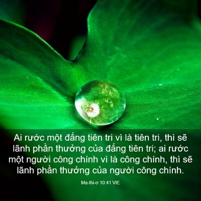 Picture 03 - Ma-thi-ơ 10:41 VIE - Ai rước một đấng tiên tri vì là tiên - Bible Verse Picture