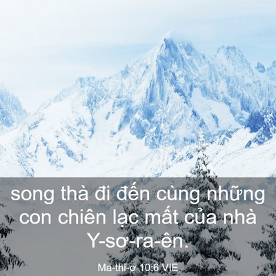 Picture 03 - Ma-thi-ơ 10:6 VIE - song thà đi đến cùng những con chiên - Bible Verse Picture
