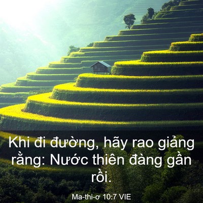 Picture 03 - Ma-thi-ơ 10:7 VIE - Khi đi đường, hãy rao giảng rằng: - Bible Verse Picture