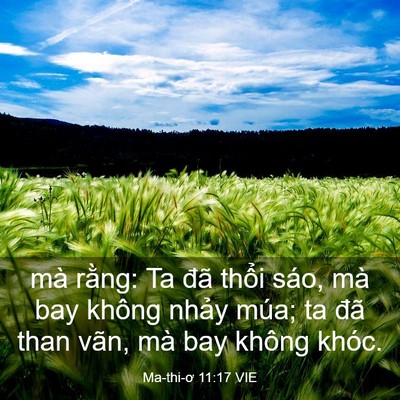 Picture 03 - Ma-thi-ơ 11:17 VIE - mà rằng: Ta đã thổi sáo, mà bay không - Bible Verse Picture
