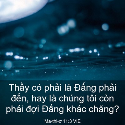 Picture 03 - Ma-thi-ơ 11:3 VIE - Thầy có phải là Đấng phải đến, hay - Bible Verse Picture