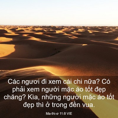 Picture 03 - Ma-thi-ơ 11:8 VIE - Các ngươi đi xem cái chi nữa? Có phải - Bible Verse Picture