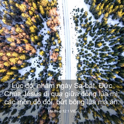 Picture 03 - Ma-thi-ơ 12:1 VIE - Lúc đó, nhằm ngày Sa-bát, Đức Chúa - Bible Verse Picture
