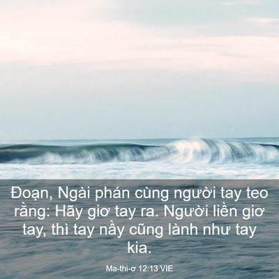 Picture 03 - Ma-thi-ơ 12:13 VIE - Đoạn, Ngài phán cùng người tay teo - Bible Verse Picture