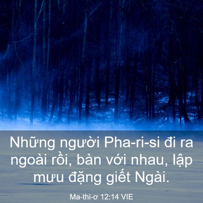 Picture 03 - Ma-thi-ơ 12:14 VIE - Những người Pha-ri-si đi ra ngoài rồi, - Bible Verse Picture