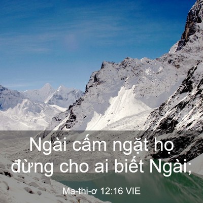 Picture 03 - Ma-thi-ơ 12:16 VIE - Ngài cấm ngặt họ đừng cho ai biết - Bible Verse Picture