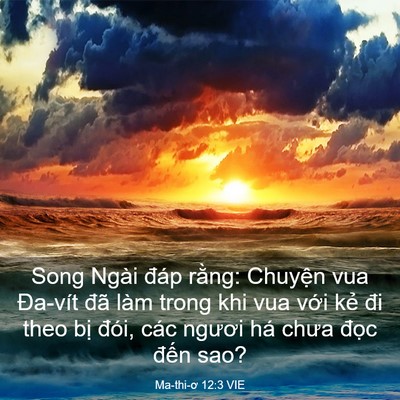 Picture 03 - Ma-thi-ơ 12:3 VIE - Song Ngài đáp rằng: Chuyện vua Đa-vít - Bible Verse Picture