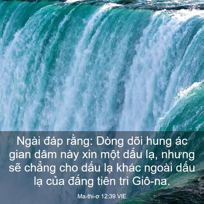 Picture 03 - Ma-thi-ơ 12:39 VIE - Ngài đáp rằng: Dòng dõi hung ác gian dâm - Bible Verse Picture