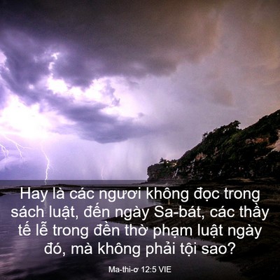 Picture 03 - Ma-thi-ơ 12:5 VIE - Hay là các ngươi không đọc trong sách - Bible Verse Picture
