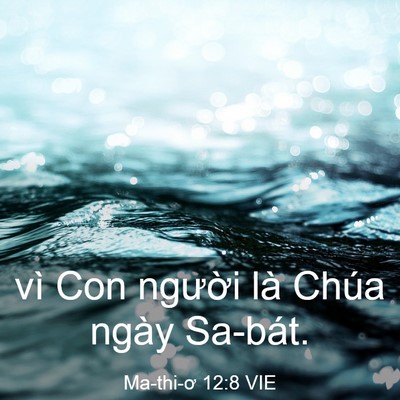Picture 03 - Ma-thi-ơ 12:8 VIE - vì Con người là Chúa ngày - Bible Verse Picture