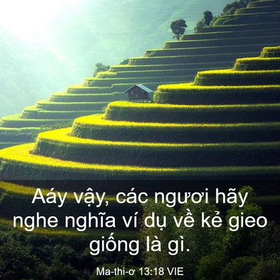 Picture 03 - Ma-thi-ơ 13:18 VIE - Aáy vậy, các ngươi hãy nghe nghĩa ví - Bible Verse Picture