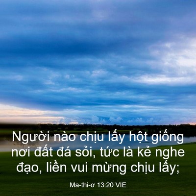 Picture 03 - Ma-thi-ơ 13:20 VIE - Người nào chịu lấy hột giống nơi - Bible Verse Picture