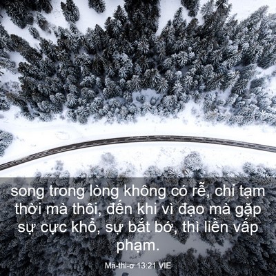 Picture 03 - Ma-thi-ơ 13:21 VIE - song trong lòng không có rễ, chỉ tạm - Bible Verse Picture