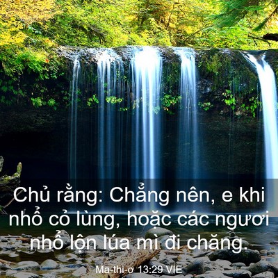 Picture 03 - Ma-thi-ơ 13:29 VIE - Chủ rằng: Chẳng nên, e khi nhổ cỏ - Bible Verse Picture