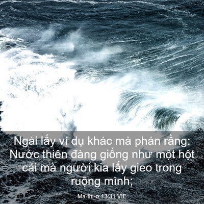 Picture 03 - Ma-thi-ơ 13:31 VIE - Ngài lấy ví dụ khác mà phán rằng: - Bible Verse Picture