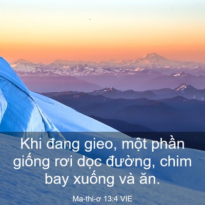 Picture 03 - Ma-thi-ơ 13:4 VIE - Khi đang gieo, một phần giống rơi dọc - Bible Verse Picture