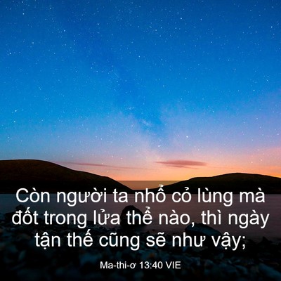 Picture 03 - Ma-thi-ơ 13:40 VIE - Còn người ta nhổ cỏ lùng mà đốt - Bible Verse Picture