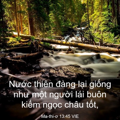 Picture 03 - Ma-thi-ơ 13:45 VIE - Nước thiên đàng lại giống như một - Bible Verse Picture