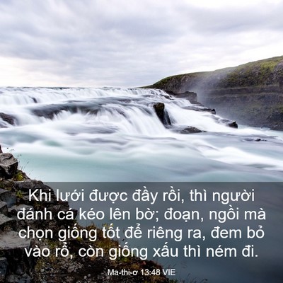 Picture 03 - Ma-thi-ơ 13:48 VIE - Khi lưới được đầy rồi, thì người - Bible Verse Picture
