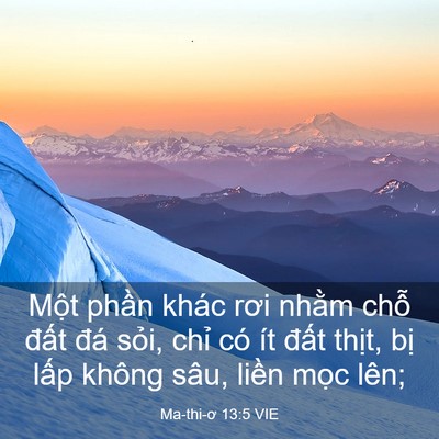 Picture 03 - Ma-thi-ơ 13:5 VIE - Một phần khác rơi nhằm chỗ đất đá - Bible Verse Picture