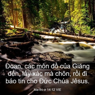 Picture 03 - Ma-thi-ơ 14:12 VIE - Đoạn, các môn đồ của Giăng đến, - Bible Verse Picture