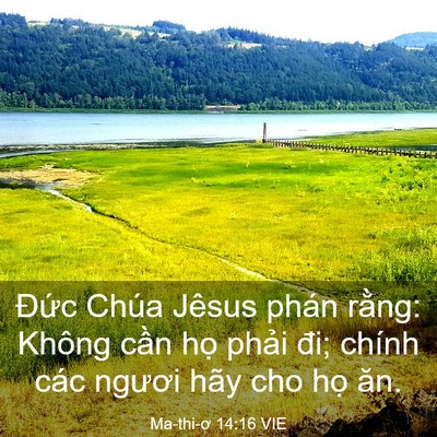 Picture 03 - Ma-thi-ơ 14:16 VIE - Đức Chúa Jêsus phán rằng: Không cần - Bible Verse Picture