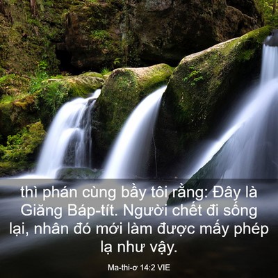 Picture 03 - Ma-thi-ơ 14:2 VIE - thì phán cùng bầy tôi rằng: Đây là - Bible Verse Picture