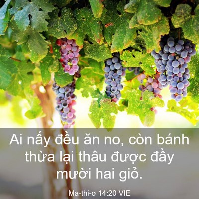 Picture 03 - Ma-thi-ơ 14:20 VIE - Ai nấy đều ăn no, còn bánh thừa lại - Bible Verse Picture