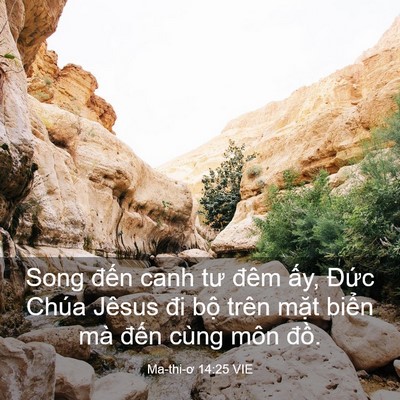 Picture 03 - Ma-thi-ơ 14:25 VIE - Song đến canh tư đêm ấy, Đức Chúa - Bible Verse Picture