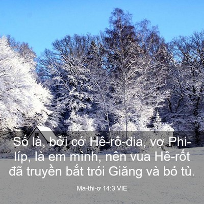 Picture 03 - Ma-thi-ơ 14:3 VIE - Số là, bởi cớ Hê-rô-đia, vợ Phi-líp, - Bible Verse Picture